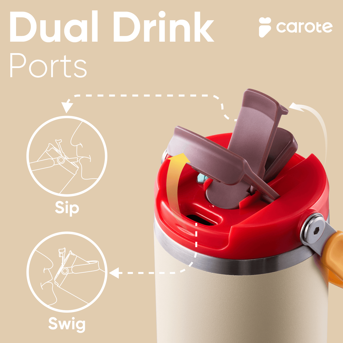 Carote 3pcs Insulated Stainless Steel - Dorm Room Essentials